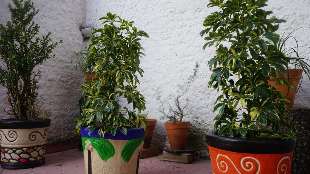 Casa Cantador Guest house Guanajuato